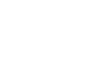 Vestone Investment